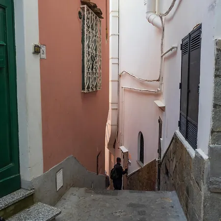 Pensión Casa Bijou - De Vivo Realty *
