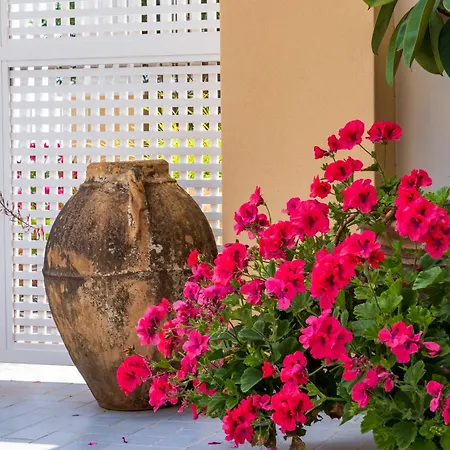 Casa de hóspedes De Vivo Realty - Casa Bijou 3*